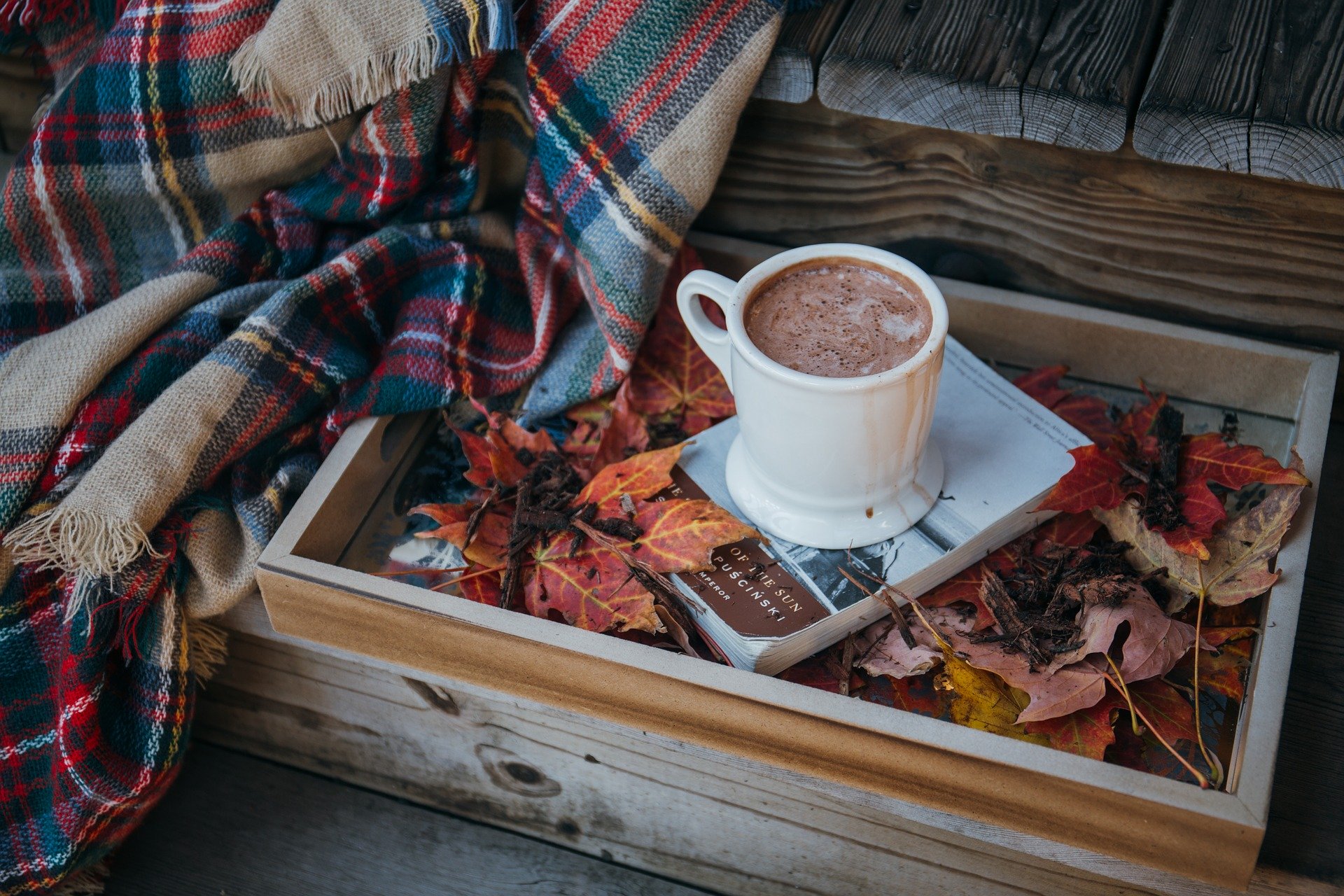 cup & coffee with colors